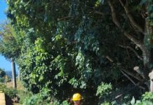 Serviços Urbanos realiza mutirão de limpeza no Teresópolis para a Festa de Nossa Senhora das Vitória.