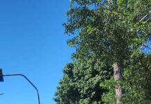 Bairro da Conquista recebe serviços de manutenção para reforçar a organização e acolher festividades.