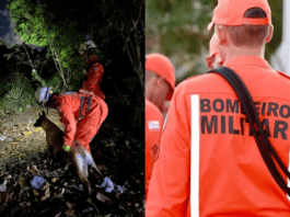 Homem é Encontrado Dormindo Sob Arbusto Após Se Perder Em Dunas De Stella Maris Homem é Encontrado Dormindo Sob Arbusto Após Se Perder Em Dunas De Stella Maris