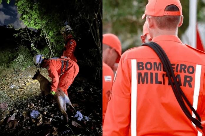 Homem é Encontrado Dormindo Sob Arbusto Após Se Perder Em Dunas De Stella Maris