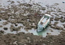 Nove Anos Do Naufrágio Da Cavalo Marinho I: Tragédia Ainda Deixa Marcas E Processos Pendentes Nove Anos Do Naufrágio Da Cavalo Marinho I: Tragédia Ainda Deixa Marcas E Processos Pendentes