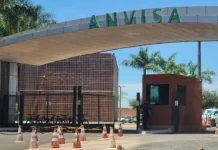 Novo Tratamento Para Câncer Linfático Recebe Registro Da Anvisa Novo Tratamento Para Câncer Linfático Recebe Registro Da Anvisa