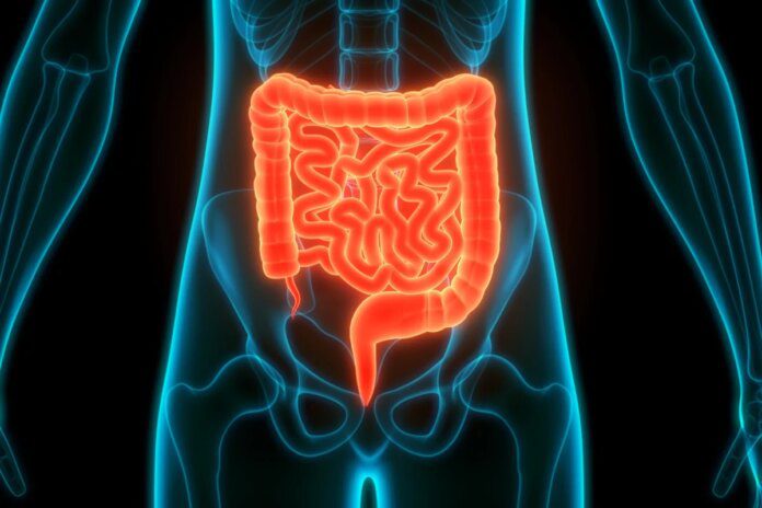 SUS passa a oferecer teste de fezes para rastrear câncer de intestino