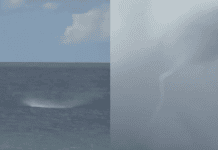 VÍDEO: O Que Era Aquela Espiral No Mar? Tromba-d’água Chama A Atenção De Banhistas Em Salvador VÍDEO: O Que Era Aquela Espiral No Mar? Tromba-d’água Chama A Atenção De Banhistas Em Salvador