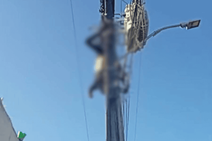 VÍDEO: Tentativa De ‘gato’ Termina Com Homem Morto Após Descarga Elétrica Em Salvador