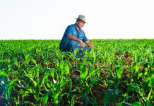Ilhéus homenageia produtores e leva educação ambiental às escolas no Dia Nacional do Campo Limpo