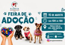 ONG Planeta dos Bichos realiza Feira de Adoção neste sábado no Pontal 🐾❤️