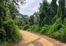 Prefeitura esclarece situação de estrada na Carobeira.