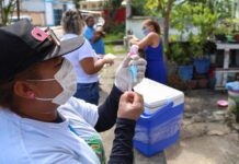 Cães E Gatos De Rua Serão Castrados Em Salvador; Veja Como Funcionará O Programa Cães E Gatos De Rua Serão Castrados Em Salvador; Veja Como Funcionará O Programa