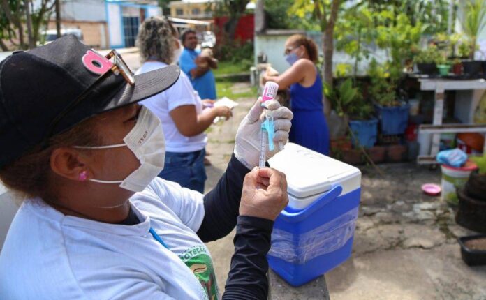 Cães E Gatos De Rua Serão Castrados Em Salvador; Veja Como Funcionará O Programa