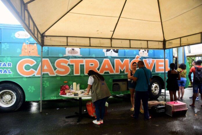 Castramóvel Da Prefeitura Oferece Serviços Gratuitos Neste Fim De Semana Castramóvel Da Prefeitura Oferece Serviços Gratuitos Neste Fim De Semana