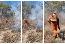 Combate A Incêndios Florestais Segue Com 178 Bombeiros E 43 Viaturas Na Bahia Combate A Incêndios Florestais Segue Com 178 Bombeiros E 43 Viaturas Na Bahia