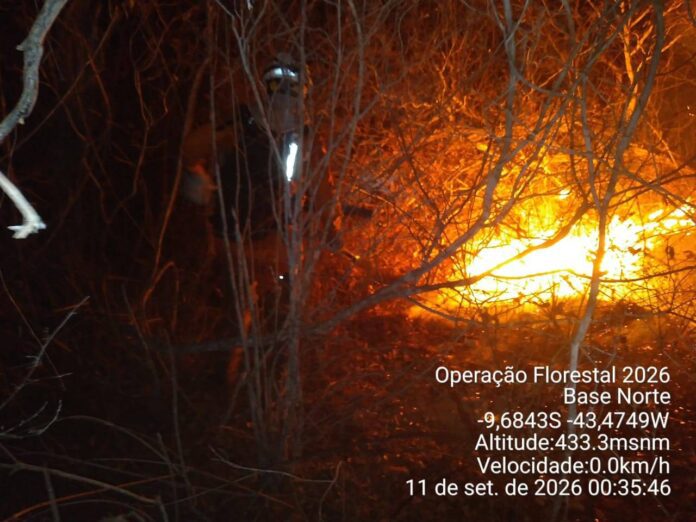 Incêndio Avança No Norte Da Bahia E Mobiliza Bombeiros E Incêndio Avança No Norte Da Bahia E Mobiliza Bombeiros E Duas Aeronaves