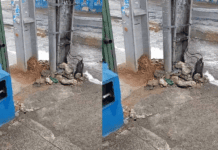 Poste Antigo Permanece Após Instalação De Nova Estrutura Em Salvador Poste Antigo Permanece Após Instalação De Nova Estrutura Em Salvador