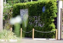 Salvador Terá Feira De Sustentabilidade E Agroecologia Neste Sábado (26) Salvador Terá Feira De Sustentabilidade E Agroecologia Neste Sábado (26)