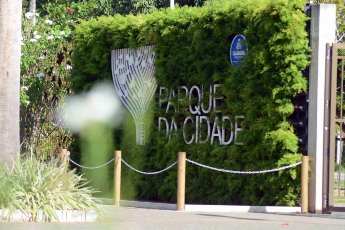 Salvador Terá Feira De Sustentabilidade E Agroecologia Neste Sábado (26)