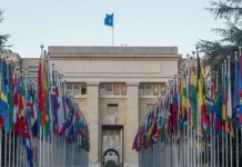 Pandemias: ONU aprova declaração por mais cooperação entre países