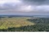 Amazônia E Cerrado Registram Menor área Desmatada De Suas Séries Históricas Amazônia E Cerrado Registram Menor área Desmatada De Suas Séries Históricas
