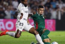 Brasileirão: Palmeiras fica no zero com o Santos e Flamengo agradece Brasileirão: Palmeiras fica no zero com o Santos e Flamengo agradece