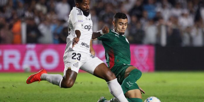 Brasileirão: Palmeiras fica no zero com o Santos e Flamengo Brasileirão: Palmeiras fica no zero com o Santos e Flamengo agradece