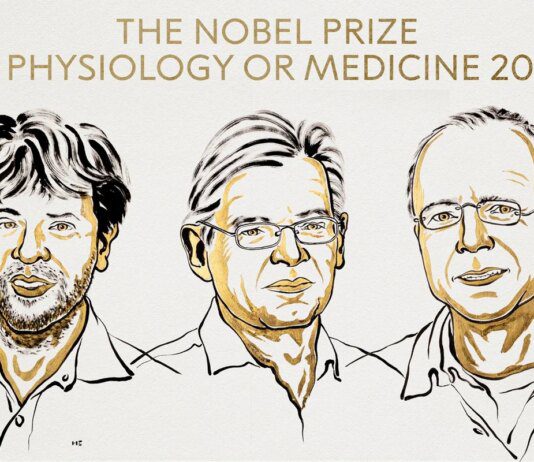Prêmio Nobel da Medicina vai para Deisseroth, Hegemann e Nagel Prêmio Nobel da Medicina vai para Deisseroth, Hegemann e Nagel