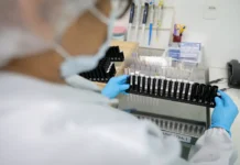 Vacina Brasileira Contra Malária Avança Para Testes Em Humanos Vacina Brasileira Contra Malária Avança Para Testes Em Humanos