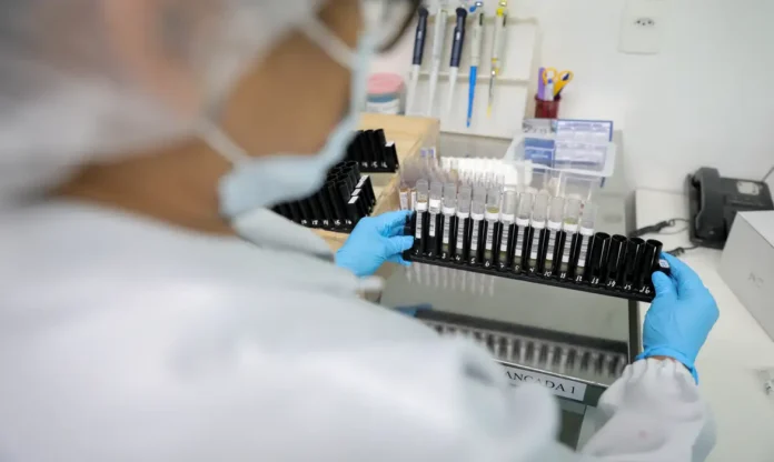 Vacina Brasileira Contra Malária Avança Para Testes Em Humanos Vacina Brasileira Contra Malária Avança Para Testes Em Humanos